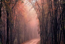 尊龙凯时体育：CBA积分榜最新排名出炉：辽宁锁定第4 山西第2创历史广东第7.