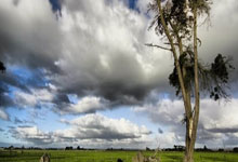 尊龙凯时体育:CBA积分榜最新排名出炉:辽宁锁定第4 山西第2创历史广东第7.