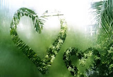 尊龙凯时体育：[德甲]拉尔松门前抢点得手 法兰克福先下一城.