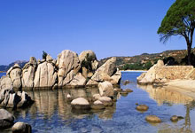 尊龙凯时体育：CBA积分榜最新排名出炉：辽宁锁定第4 山西第2创历史广东第7.